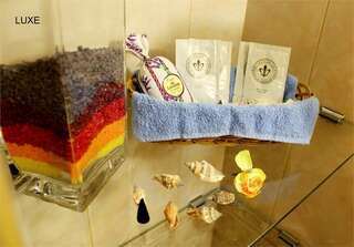 Мини-отель Делюкс Санкт-Петербург Двухэтажный Стандартный номер-10