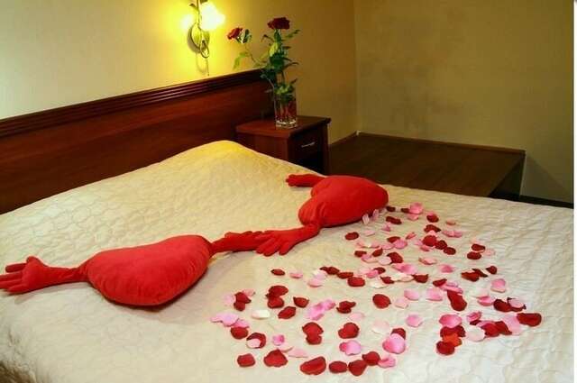 Мини-отель Делюкс Санкт-Петербург-15